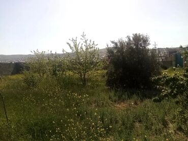 Uzunmüddətli kirayə evlər: 21 kv. m, 2 otaqlı, İnternet, Qaz, İşıq — 3