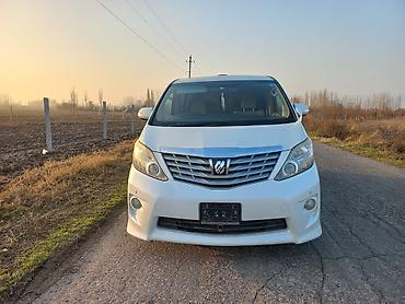 rota grid: Toyota Alphard: 2008 г., 3.5 л, Автомат, Бензин, Минивэн — 8