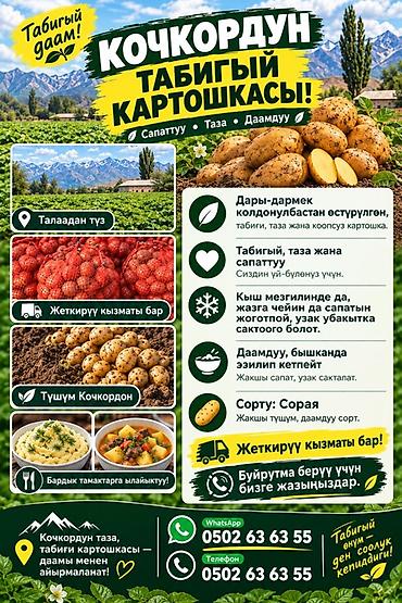 Овощи: Картошка — 1