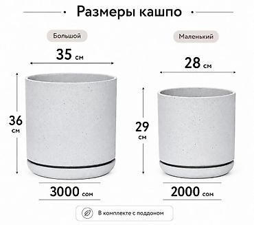 кашпо для цветов: Европейские горшки(кашпо) для растений, а также их можно использовать — 3