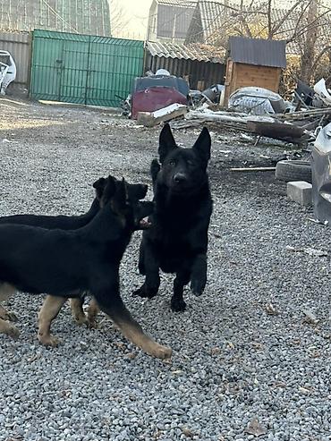 ВЯЗКА! Не продажа. Всем доброго времени суток друзья, предоставляю к
