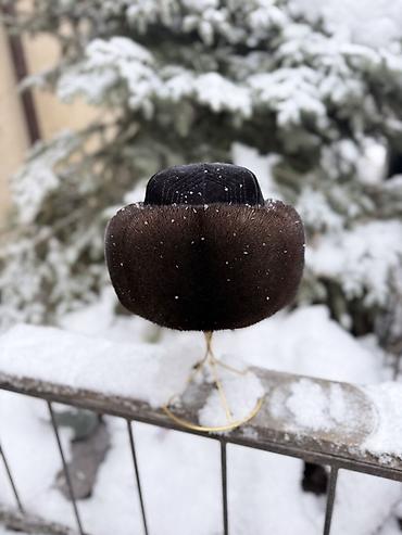 Шапки: Шапка, Ушанка, Норка, Зима, С отворотами — 2