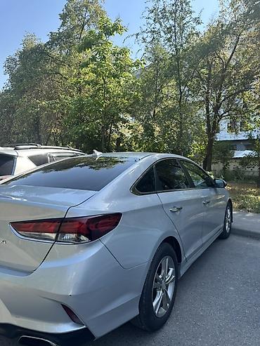 sonata 2012: Hyundai Sonata: 2019 г., 2.4 л, Автомат, Бензин, Седан — 2