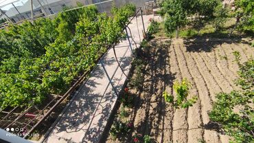 Həyət evləri və villaların satışı: 7 otaqlı, 250 kv. m — 20