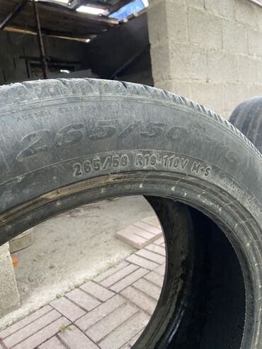 шины 265 70 19 5: Шины 265 / 50 / R 19, Всесезонная, Пара, Легковые