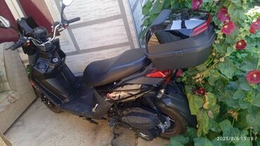 топливный бак на пассат б3: Срочно продаётся 
не ноходу
нужно вложения 
сена 25000