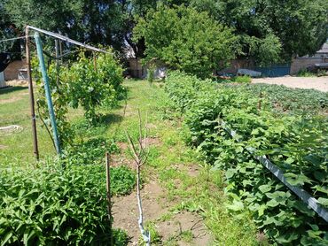 Продажа домов: Дом, 1700 м², 4 комнаты, Собственник, Дизайнерский ремонт — 14