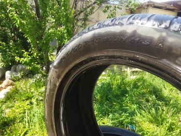 шина 245 40 18: Шины 245 / 50 / R 18, Всесезонная, Новый, Комплект, Легковые, Германия, Pirelli