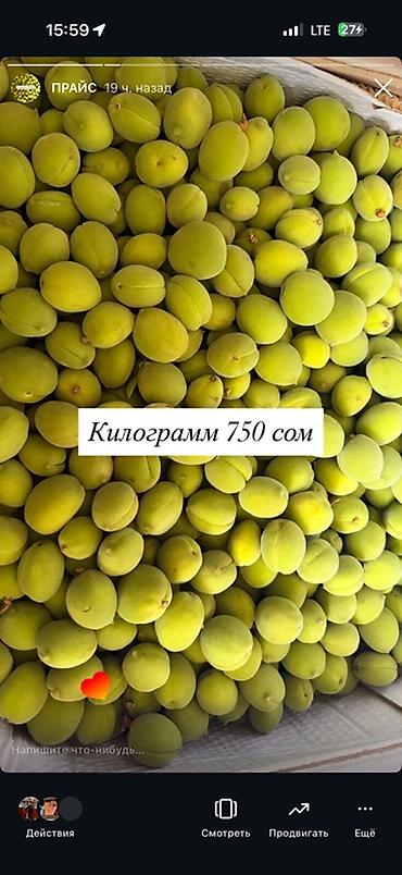 Абрикосы: Абрикосы В розницу — 5