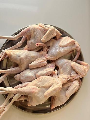 et xengeli: Məhsul: Zeytun yağı (isti sıxım) və təzə kəsim toyuq - Zeytun yağı: 3 — 4