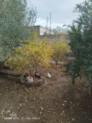 Həyət evləri və villaların satışı: 3 otaqlı, 160 kv. m, Kredit yoxdur, Orta təmir — 10