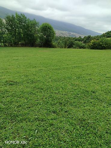 şəkidə torpaq: 21 sot, Tikinti, Mülkiyyətçi, Kupça (Çıxarış) — 1