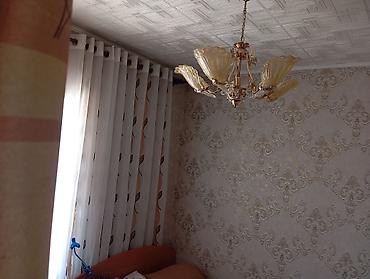 Деревянные штакетники: Деревянные штакетники, Покраска забора — 25