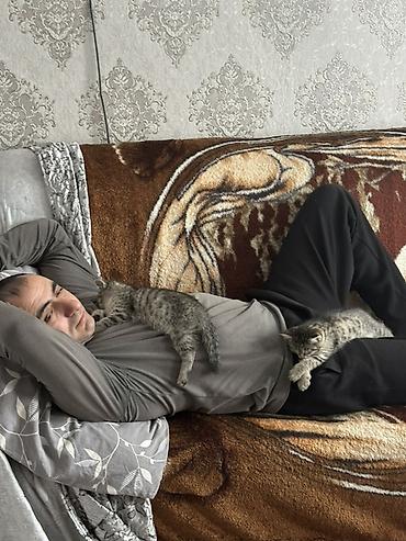 BMW: BMW 5 series: 1994 г., 2.5 л, Механика, Бензин, Седан — 21