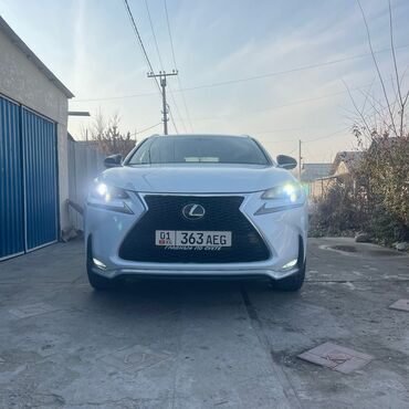 Lexus: Lexus NX: 2017 г., Кроссовер — 17