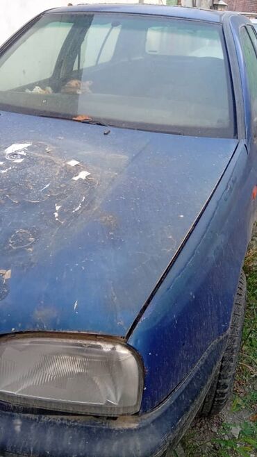 запчасть на гольф 4: Volkswagen Golf: 1993 г., 1.4 л, Механика, Бензин, Хэтчбэк