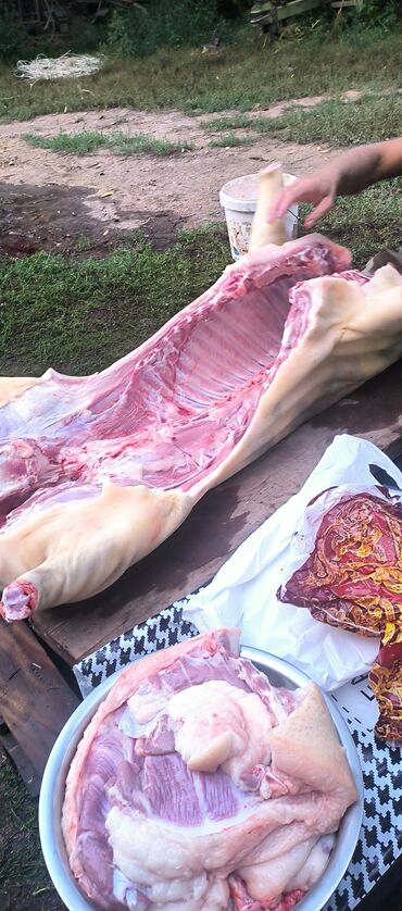 мясо: Продаем мясо Свинина,домашняя с доставкой на дом.🐖Разделываем на 4
