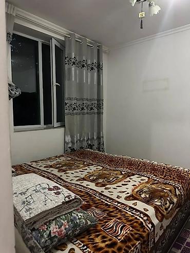 Иссык-Куль 2026: Койко-место, Чолпон-Ата — 8