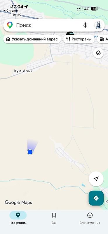 алтын казык ж м: 265 соток, Для сельского хозяйства — 8
