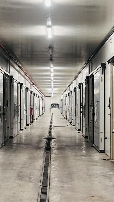 холоди: Сдаются в аренду складские помещения! Предлагаем в аренду современные — 2