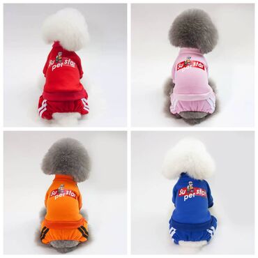 Зоотовары: ПРОДАЮ КОШАЧЬЮ МЯТУ(АНТИСТРЕСС),ПОРАДУЙТЕ СВОГО КОТИКА ТАКОЙ at lalafo.kg — 17 Зоотовары: ПРОДАЮ КОШАЧЬЮ МЯТУ(АНТИСТРЕСС),ПОРАДУЙТЕ СВОГО КОТИКА ТАКОЙ — 17