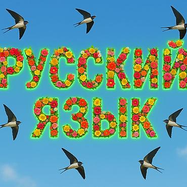 онлайн: Обучаю русскому языку (разговорная речь, чтение, письмо, грамматика) — 1