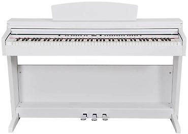 Musiqi alətləri: Elektro piano 🟢Rəsmi iş yeri olan və olmayanlara,tək şəxsiyyət — 2
