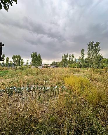 Продажа домов: 3 комнаты, 75 м², 13 соток, Беловодское, Агентство недвижимости — 5