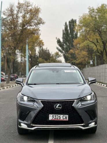 диффузор на задний бампер бмв е39: Lexus NX: 2020 г., 2 л, Автомат, Бензин, Внедорожник