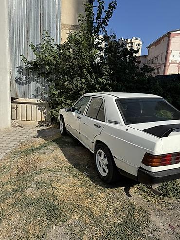мб 190: Mercedes-Benz 190: 1988 г., 2 л, Механика, Дизель, Седан — 4