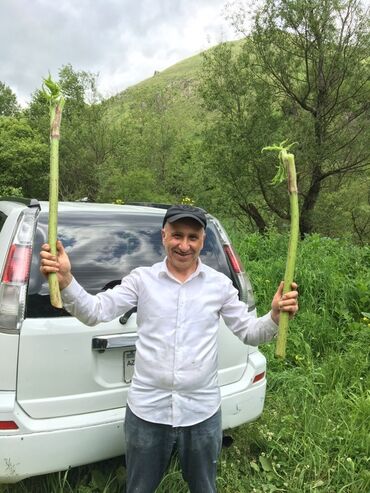 Bal: Kəlbəcər balı – dağ-çiçək və yaylaq balı, həmçinin çökə (linden) balı -da lalafo.az — 20 Bal: Kəlbəcər balı – dağ-çiçək və yaylaq balı, həmçinin çökə (linden) balı — 20