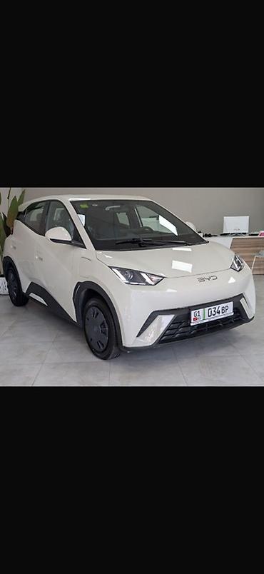 BYD: BYD Seagull: 2025 г., Робот, Электромобиль, Хэтчбэк — 2