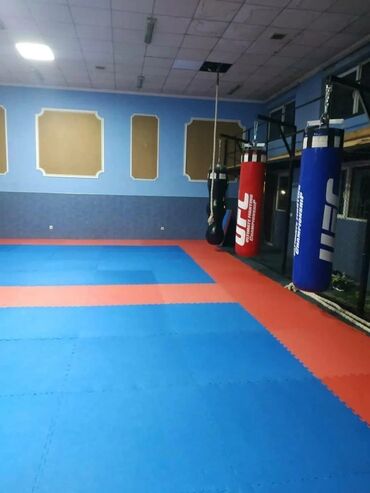 Боксерские груши: Боксёрская груша от Everlast, разработанная для отработки ударов и — 52