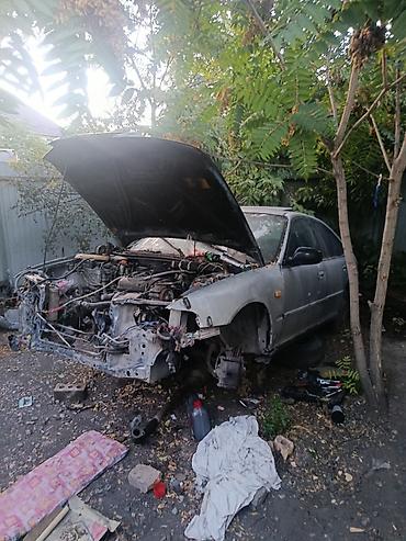 hond: Honda Accord: 1994 г., 2 л, Механика, Бензин, Хэтчбэк — 1