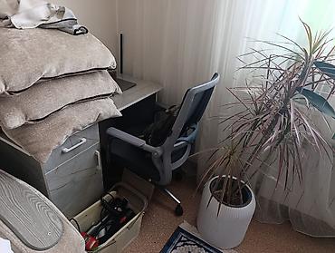 мониторы для фильмов: Монитор, Новый, QLED, более 47" — 2