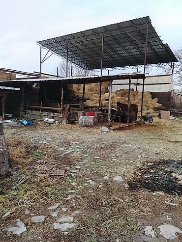 летние: Продаю дом село Новопокровка. Первая линия. 21.500соток. Дом 200кв — 4