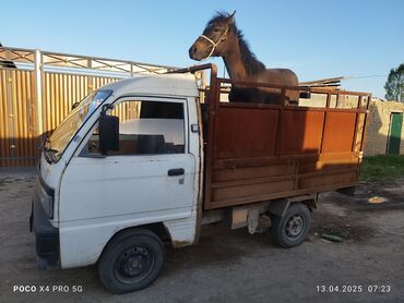 лабо сатылат: Daewoo Лабо: 1997 г., 0.8 л, Механика, Бензин, Бус