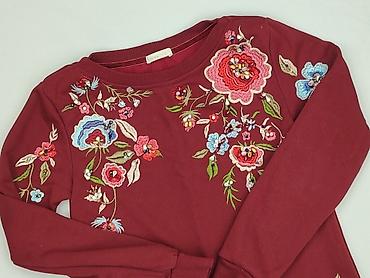 185108a h: Fracomina, Bluza damska
, rozmiar S — 1