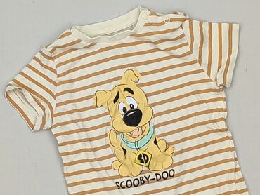 bluzki w paski allegro: T-shirt, Fox&Bunny, 12-18 months, condition - Perfect