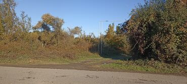 Torpaq sahələrinin satışı: 58 sot, Kənd təsərrüfatı, Barter mümkündür, Kupça (Çıxarış) — 7