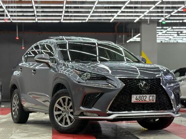 Lexus: Lexus NX: 2018 г., 2 л, Автомат, Бензин, Кроссовер