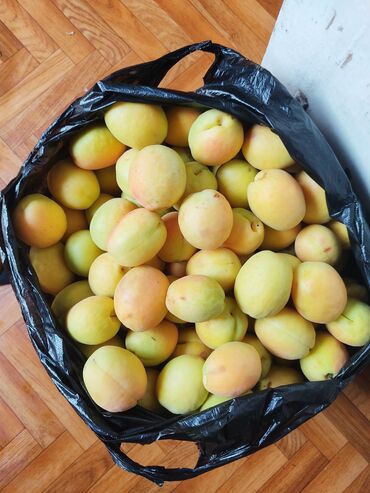 сиропы для лимонадов: Өрүктөр Королевский, Чекене