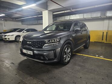 Kia: Kia Sorento: 2021 г., 1.6 л, Автомат, Гибрид, Кроссовер