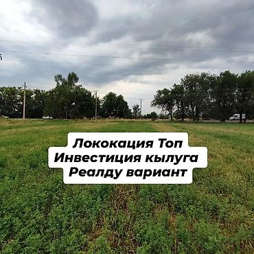 280 соток, Для бизнеса, Договор купли-продажи, Договор дарения