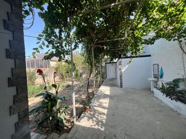 Ev üçün digər mallar: Dəyər qiymətindən daha uyğun qiymətə, ramana susa şəhərciyində iki — 12