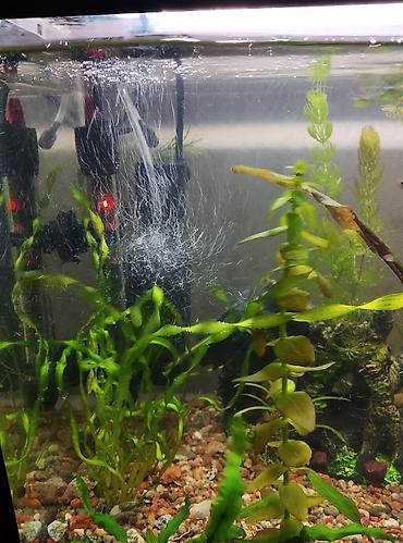 Аквариумы: Продаю аквариум полный комплект параметры: 51 см длина,высота 34 — 8