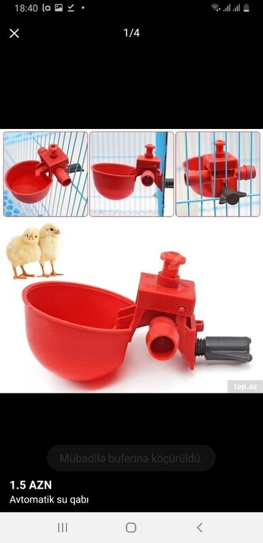 İnkubatorlar: İnkubator və ferma avadanlaqlari̇ inqubator yem qabi və su qabi -da lalafo.az — 6 İnkubatorlar: İnkubator və ferma avadanlaqlari̇ inqubator yem qabi və su qabi — 6