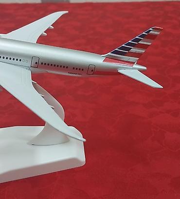 elmin: American Airlines təyyarə maketi – vitrin/masaüstü dekoru — 10