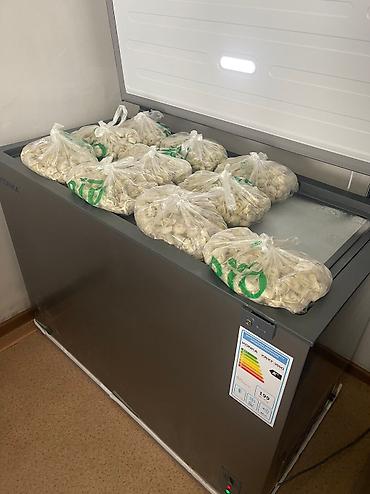 кой кант: Пельмени с клевером,без жира .,700 сом -1 кг,клевер молочный — 2