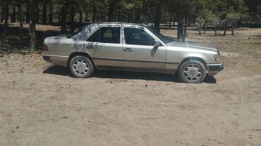 ауди транспорт: Mercedes-Benz E-Class: 1991 г., 3 л, Автоматические, Дизель, Седан